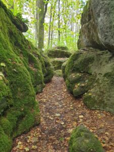 Natur
